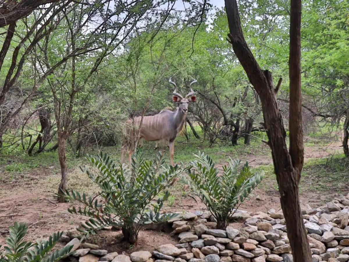 Kruger Nights Lejlighed Marloth Park Eksteriør billede
